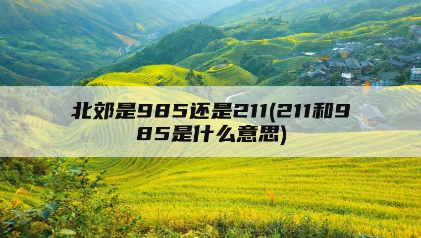 北郊是985还是211(211和985是什么意思)